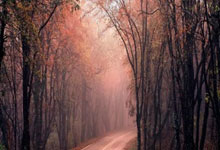 🔥切尔西vs莫雷坎比首发:恩昆库、内托首发,帕尔默、桑乔替补.