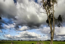 IM体育:足球市场:那不勒斯正在关注加蒂、小维阿和萨沃纳.