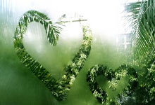 IM体育：[CBA]常规赛3月9日：辽宁VS吉林 赵继伟集锦.