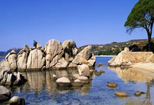 王钰栋、刘诚宇迎来机会?林良铭下场停赛,张玉宁锋线搭档谁?.